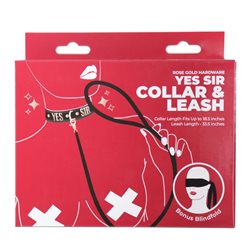 Punishment Rose Gold Yes Sir Collar & Leash bigger version