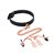 Punishment Rose Gold Choker & Nipple Clamps thumbnail