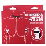 Punishment Rose Gold Choker & Nipple Clamps